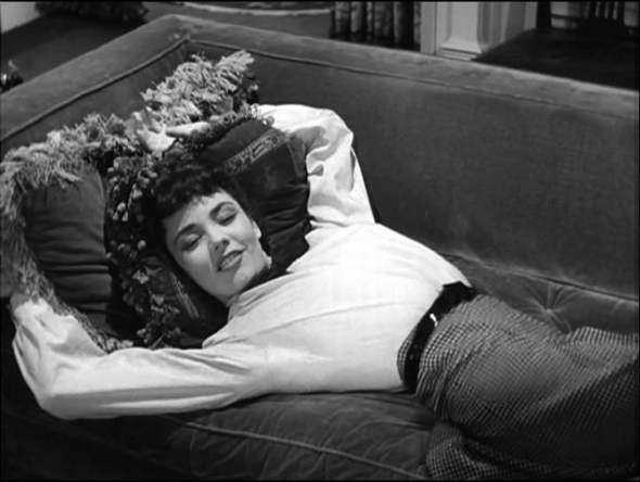 Cluny gets that Persian cat feeling.